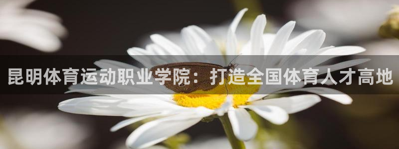 成都杏运电子有限公司：昆明体育运动职业学院：打造全国体育人才高地