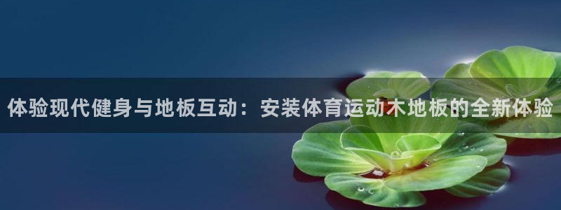 杏运达贝钙：体验现代健身与地板互动：安装体育运动木地板的全新体验