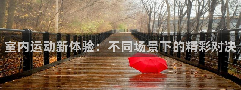 杏运2注册：室内运动新体验：不同场景下的精彩对决