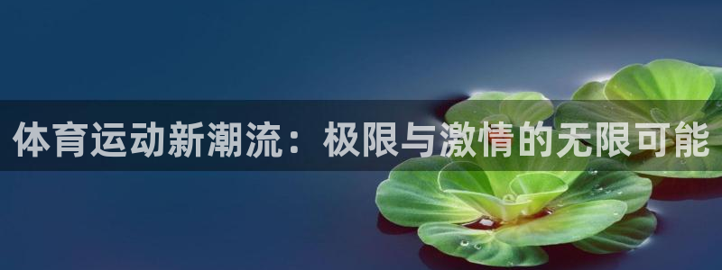 杏运体育凯捷登陆：体育运动新潮流：极限与激情的无限可能