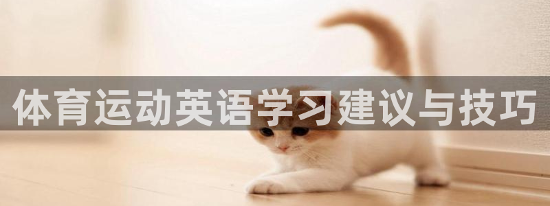 杏运满糖：体育运动英语学习建议与技巧
