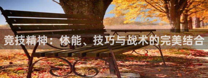 杏运：竞技精神：体能、技巧与战术的完美结合