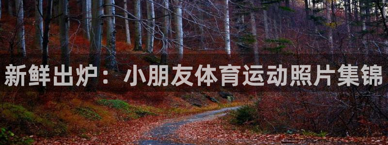 杏运体育官网：新鲜出炉：小朋友体育运动照片集锦