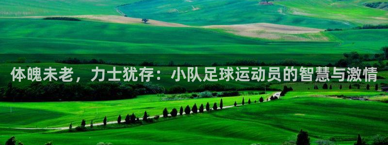 杏运平台注册入口：体魄未老，力士犹存：小队足球运动员的智慧与激情