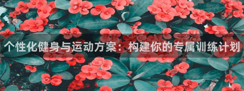 杏运2登录：个性化健身与运动方案：构建你的专属训练计划