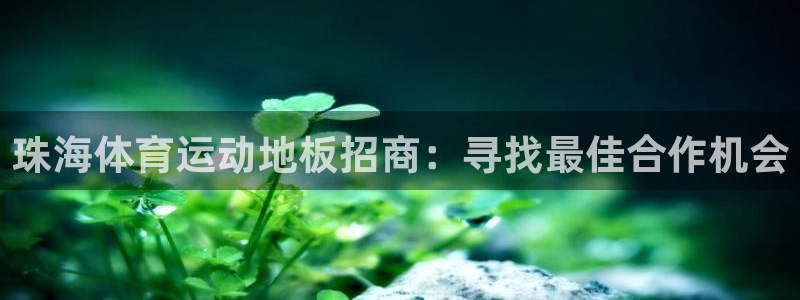杏运达贝怎么样：珠海体育运动地板招商：寻找最佳合作机会