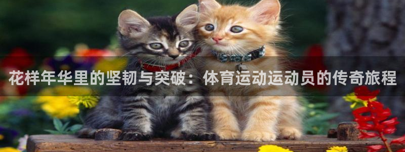 杏运体育官网登录：花样年华里的坚韧与突破：体育运动运动员的传奇旅程