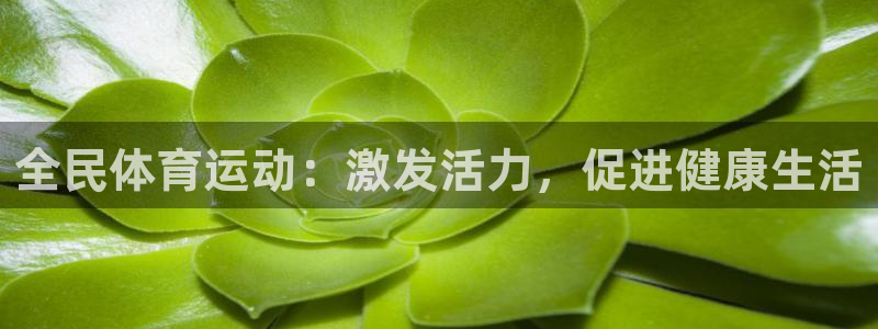 佛山市南海杏运机电仪器有限公司：全民体育运动：激发活力，促进健康生活