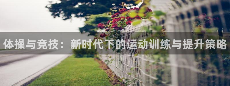 杏运4登录：体操与竞技：新时代下的运动训练与提升策略
