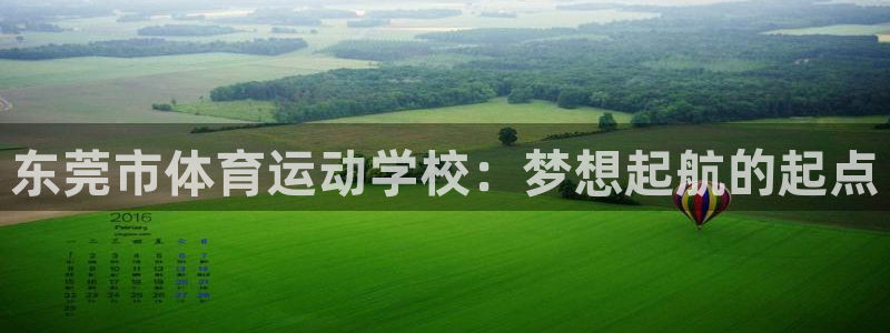 杏运娱乐代理：东莞市体育运动学校：梦想起航的起点