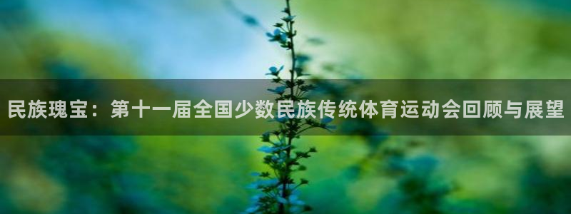 杏运体育免费注册入口：民族瑰宝：第十一届全国少数民族传统体育运动会回顾与展望