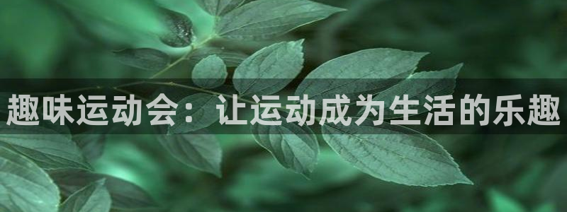 杏运注册：趣味运动会：让运动成为生活的乐趣