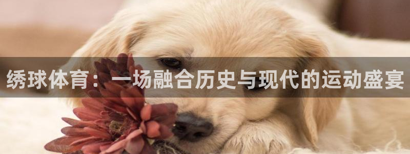 杏运科技：绣球体育：一场融合历史与现代的运动盛宴