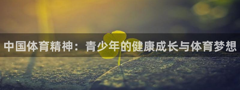 杏运4登录：中国体育精神：青少年的健康成长与体育梦想