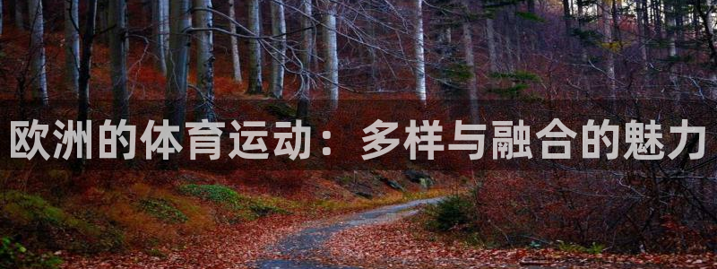 杏运娱乐官网：欧洲的体育运动：多样与融合的魅力