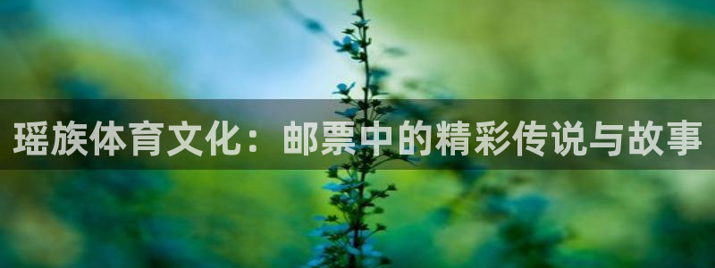 杏运礼盒：瑶族体育文化：邮票中的精彩传说与故事