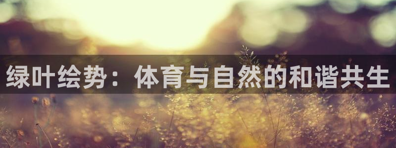 杏运体育1招商：绿叶绘势：体育与自然的和谐共生