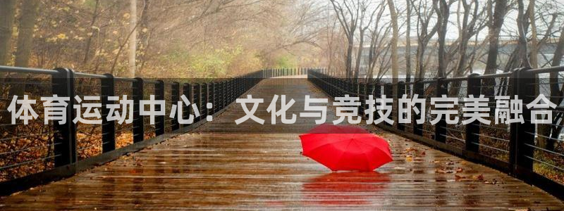 杏运注册：体育运动中心：文化与竞技的完美融合