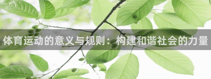 杏运5：体育运动的意义与规则：构建和谐社会的力量