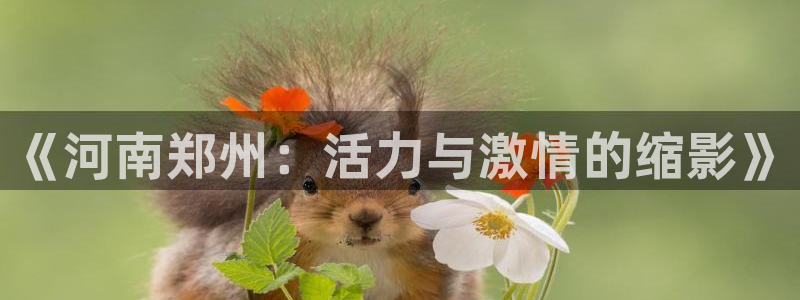 杏运体育注册登录入口：《河南郑州：活力与激情的缩影》
