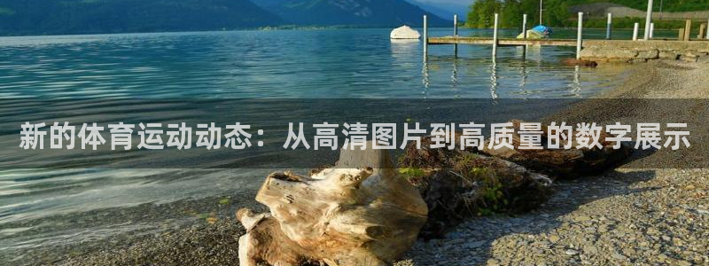 杏运5：新的体育运动动态：从高清图片到高质量的数字展示