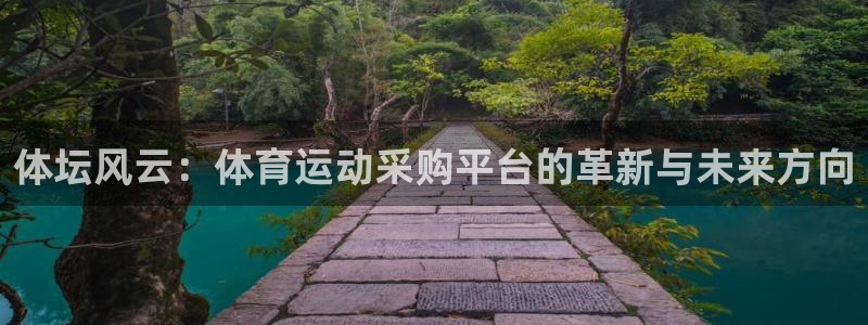 杏运f平台注册：体坛风云：体育运动采购平台的革新与未来方向