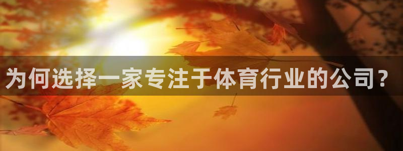 佛山市南海杏运机电仪器有限公司：为何选择一家专注于体育行业的公司？