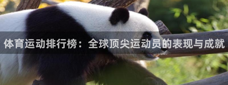 杏运集团官网：体育运动排行榜：全球顶尖运动员的表现与成就